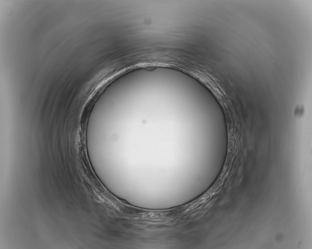 X0000095110338200712070924