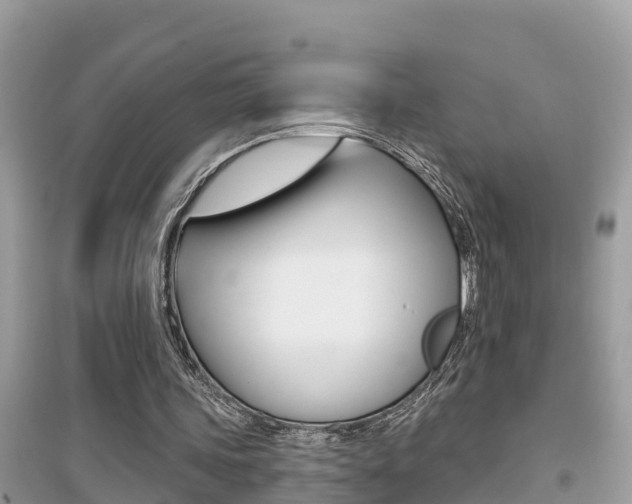 X0000095110339200712070924
