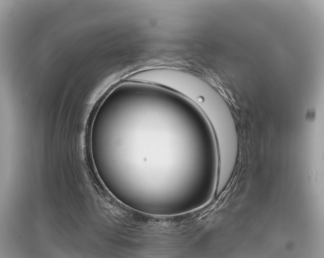 X0000095110340200712070924