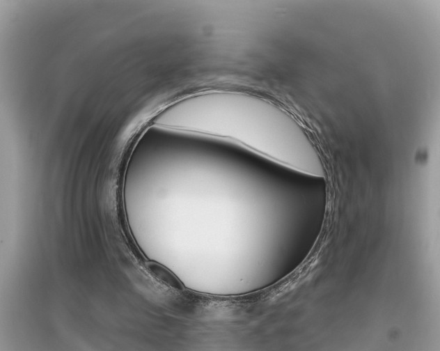 X0000095110341200712070924