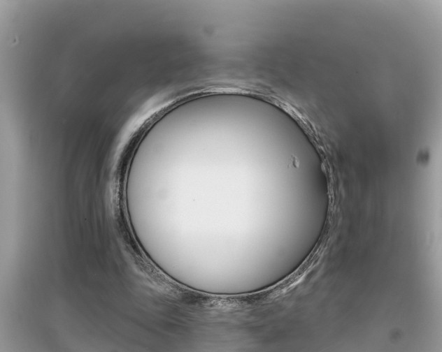 X0000095110343200712070924