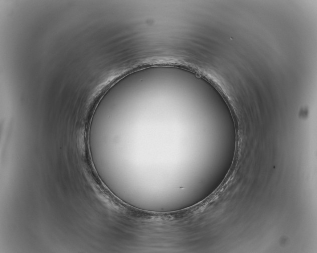 X0000095110345200712070924