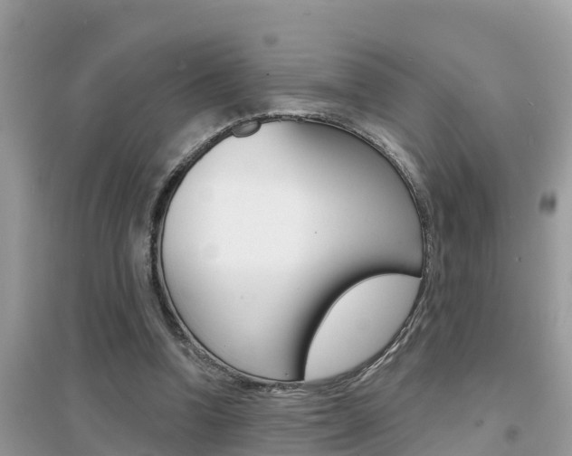 X0000095110346200712070924