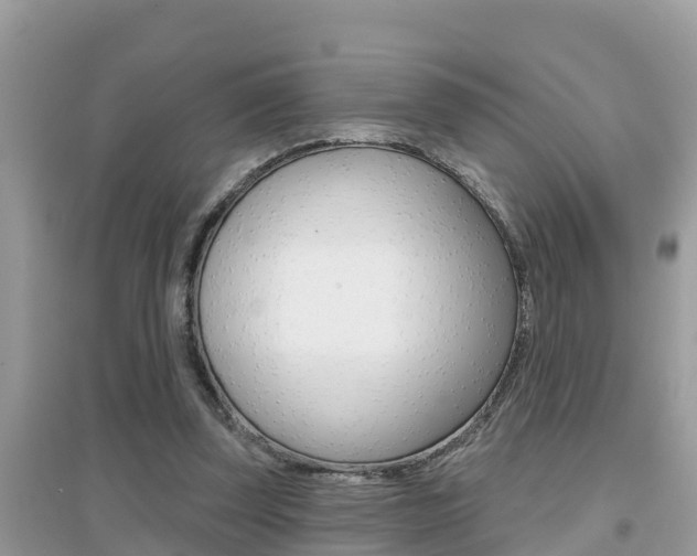 X0000095110347200712070924