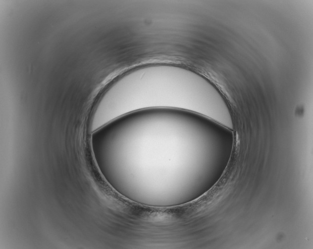 X0000095110348200712070924