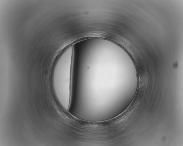 X0000095110349200712070924