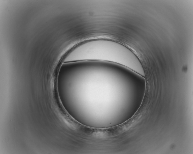 X0000095110350200712070924