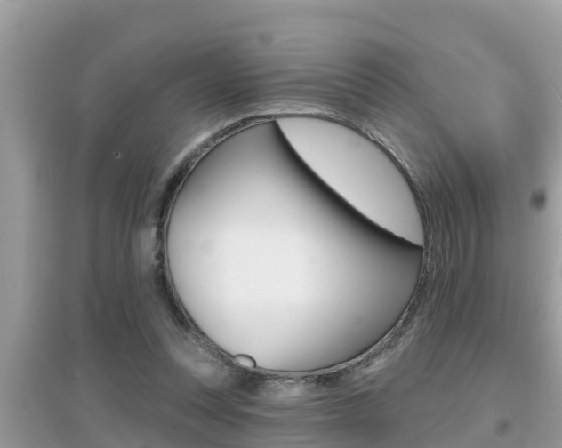 X0000095110351200712070924