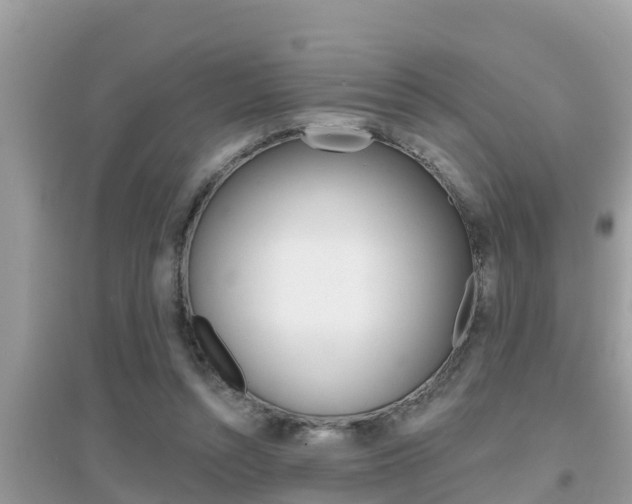 X0000095110352200712070924
