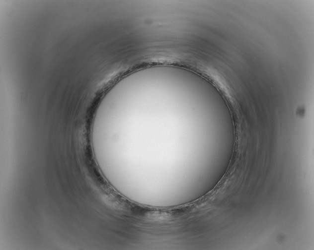 X0000095110354200712070924