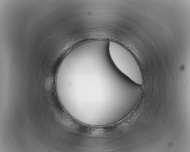 X0000095110355200712070925