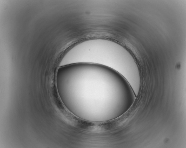 X0000095110356200712070925