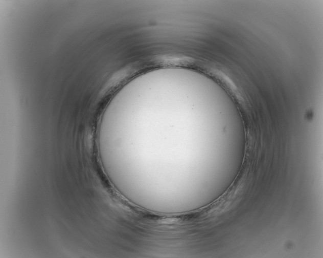 X0000095110357200712070925