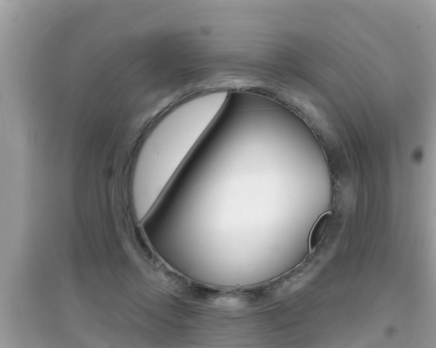X0000095110358200712070925