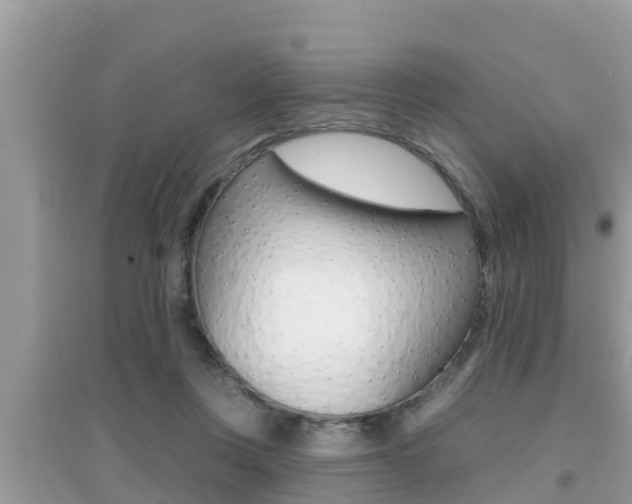 X0000095110359200712070925
