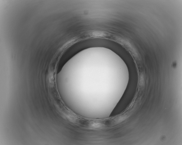 X0000095110360200712070925