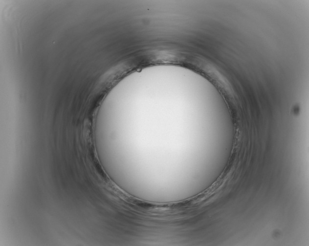 X0000095110361200712070925