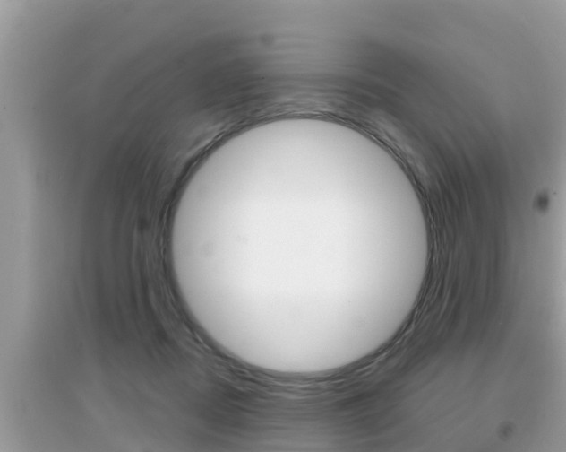X0000095110362200712070925