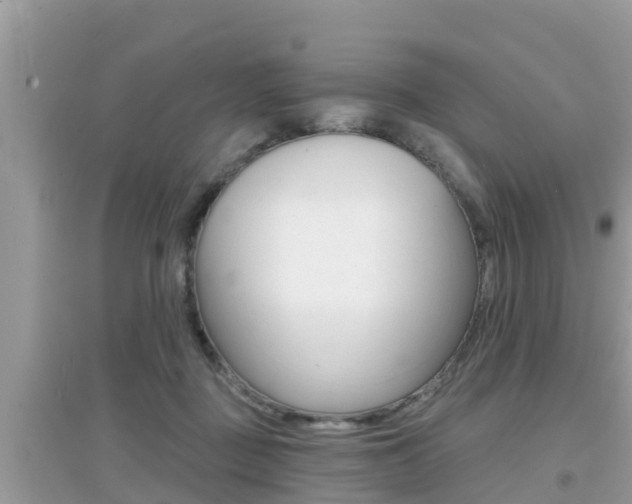 X0000095110363200712070925