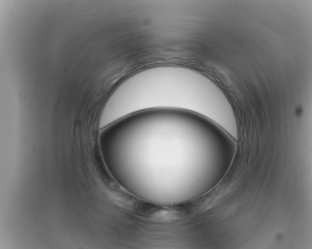 X0000095110364200712070925