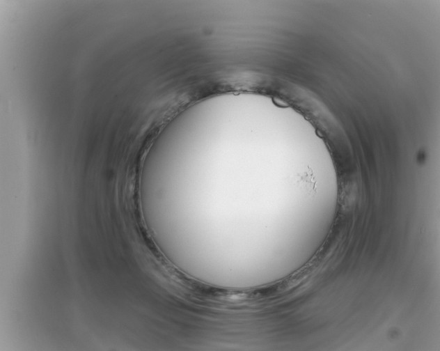 X0000095110365200712070925