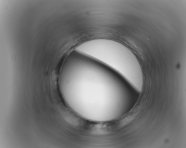 X0000095110366200712070925