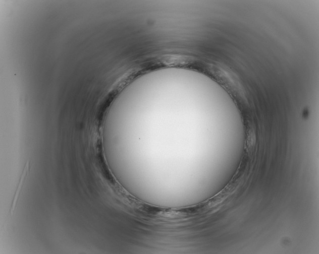 X0000095110367200712070925