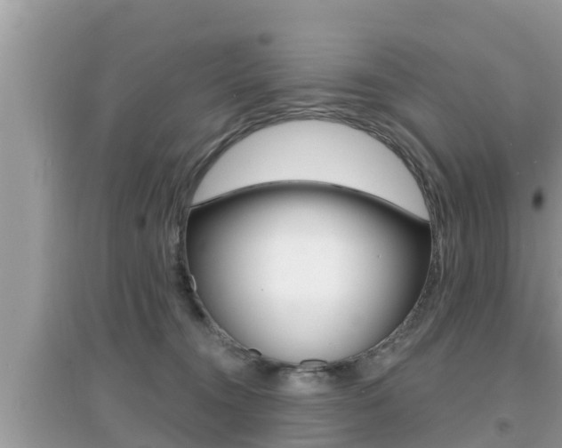 X0000095110372200712070925