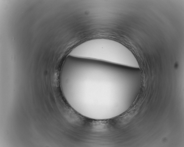 X0000095110378200712070925