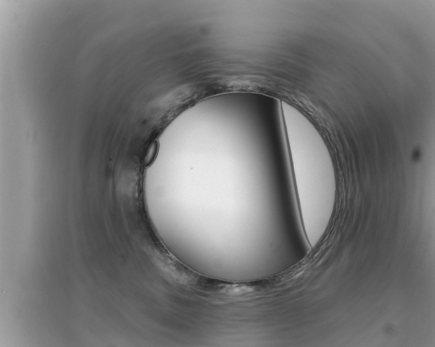 X0000095110379200712070925