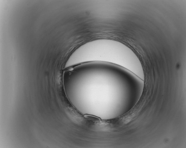 X0000095110380200712070925