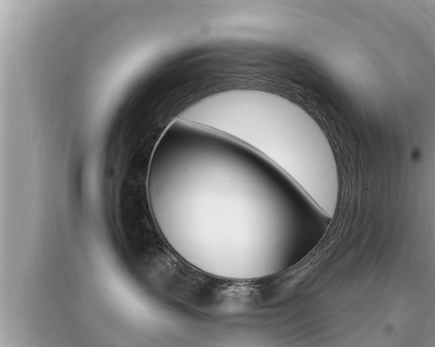 X0000095110383200712070925