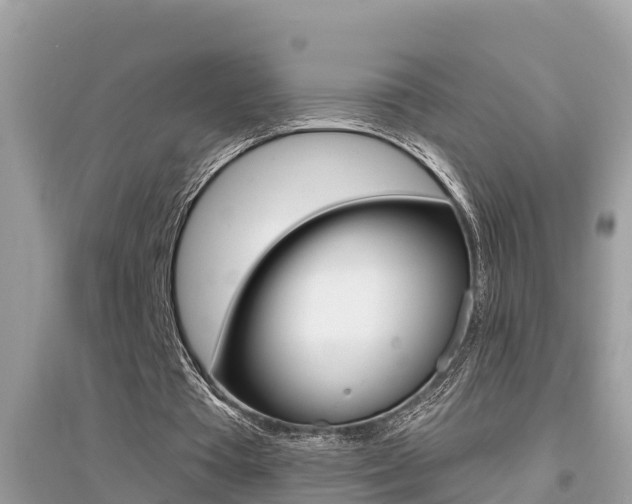 X0000095110385200712070924