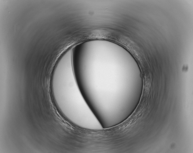 X0000095110386200712070924