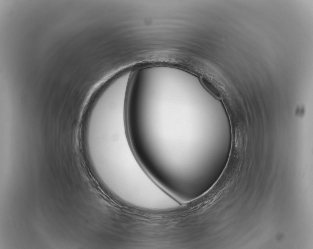 X0000095110388200712070924