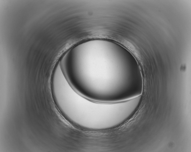 X0000095110389200712070924
