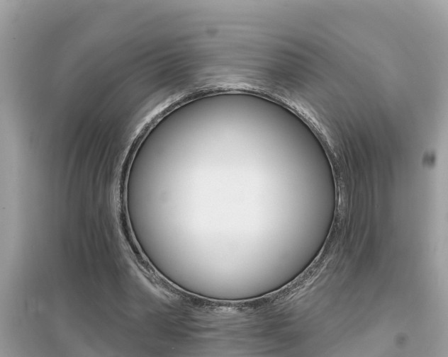 X0000095110390200712070924