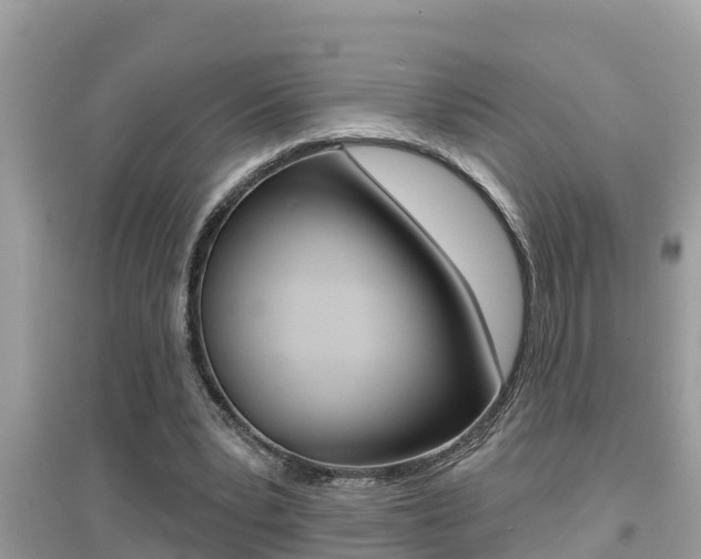 X0000095110391200712070924