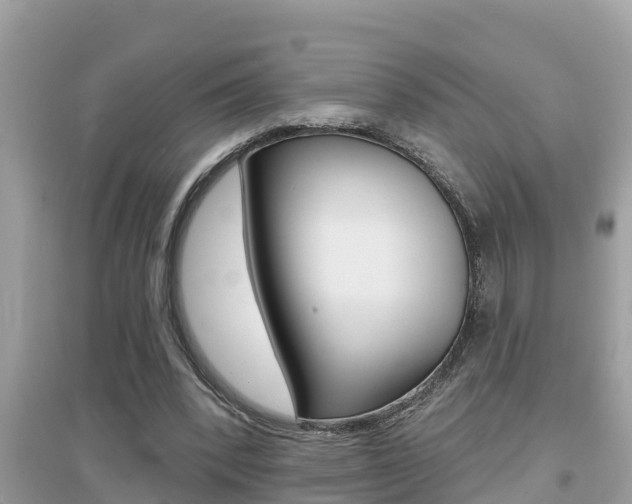 X0000095110392200712070924