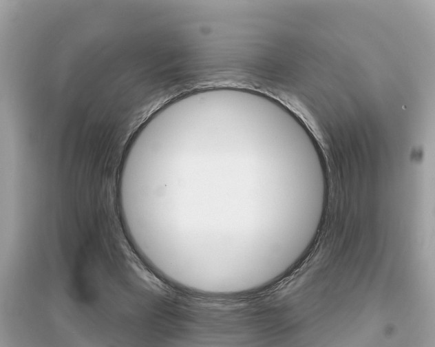 X0000095110393200712070924