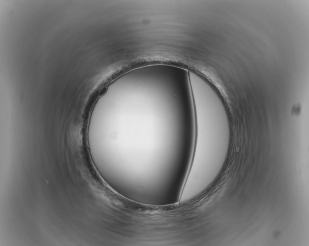 X0000095110395200712070924