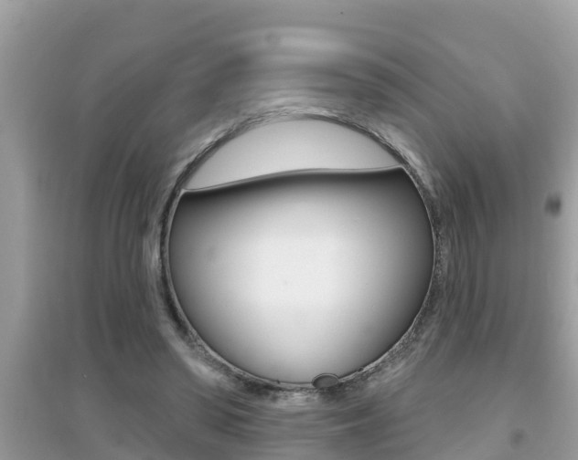 X0000095110398200712070924