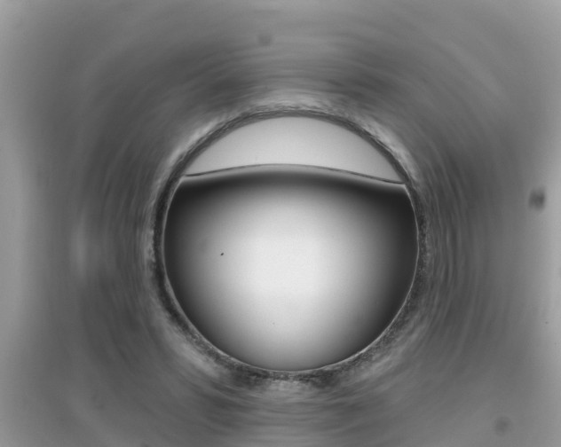 X0000095110399200712070924