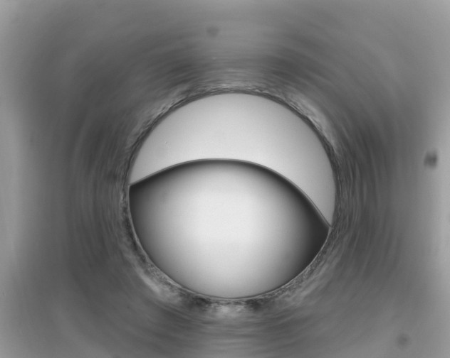 X0000095110401200712070924