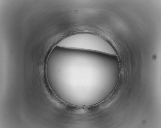 X0000095110402200712070924