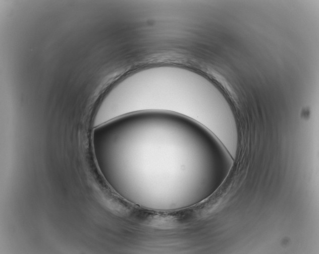 X0000095110403200712070924