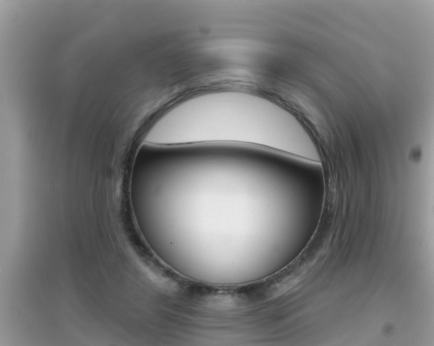 X0000095110404200712070924