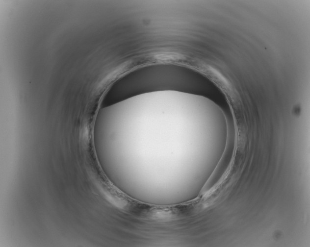 X0000095110405200712070924