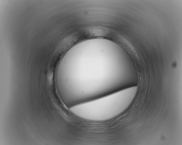 X0000095110406200712070924