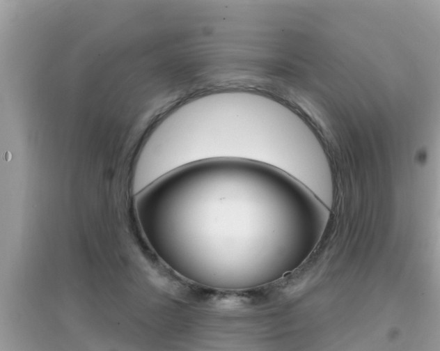 X0000095110407200712070924